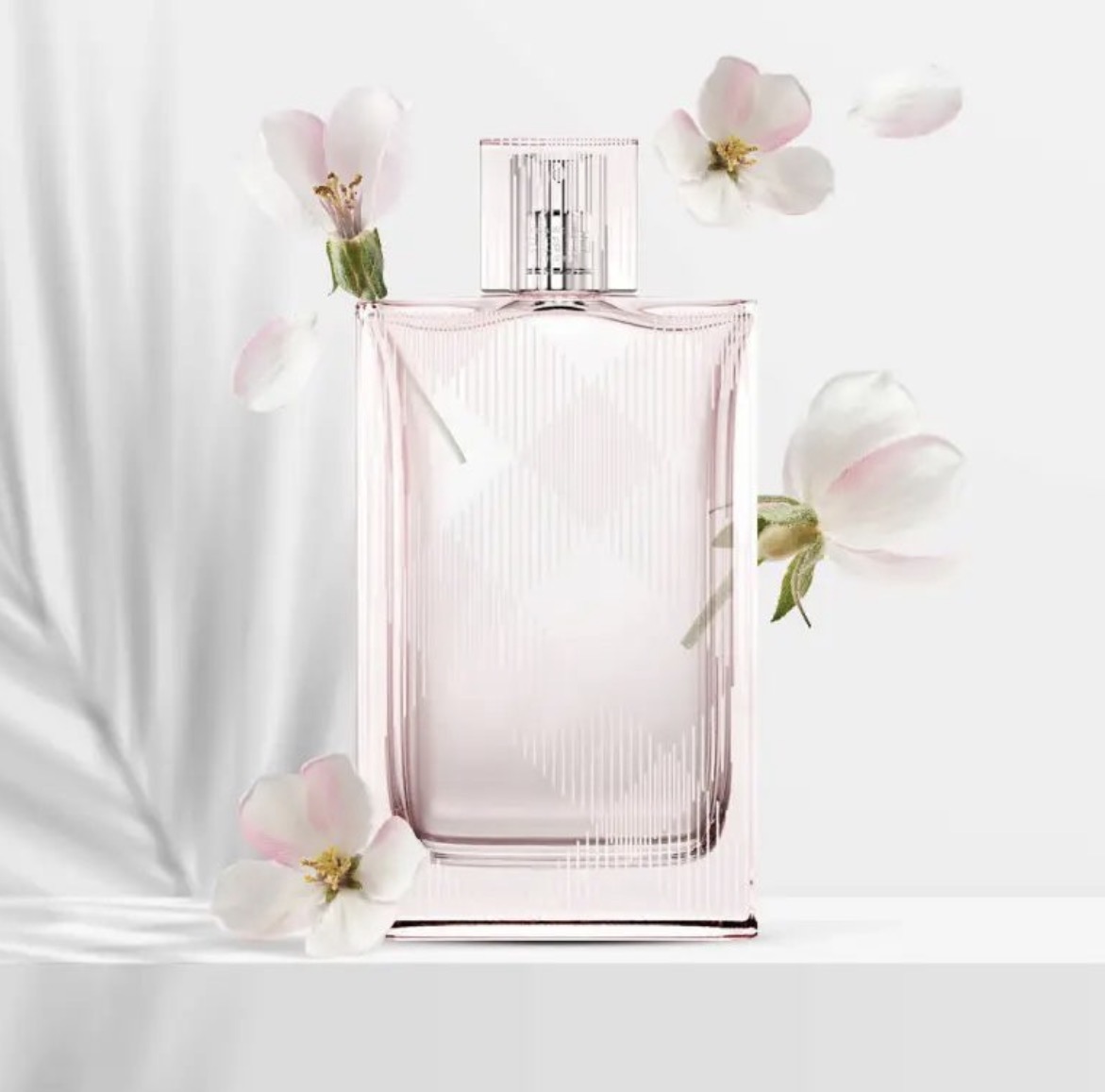 عطر ادکلن باربری بریت شیر | Burberry Brit Sheer