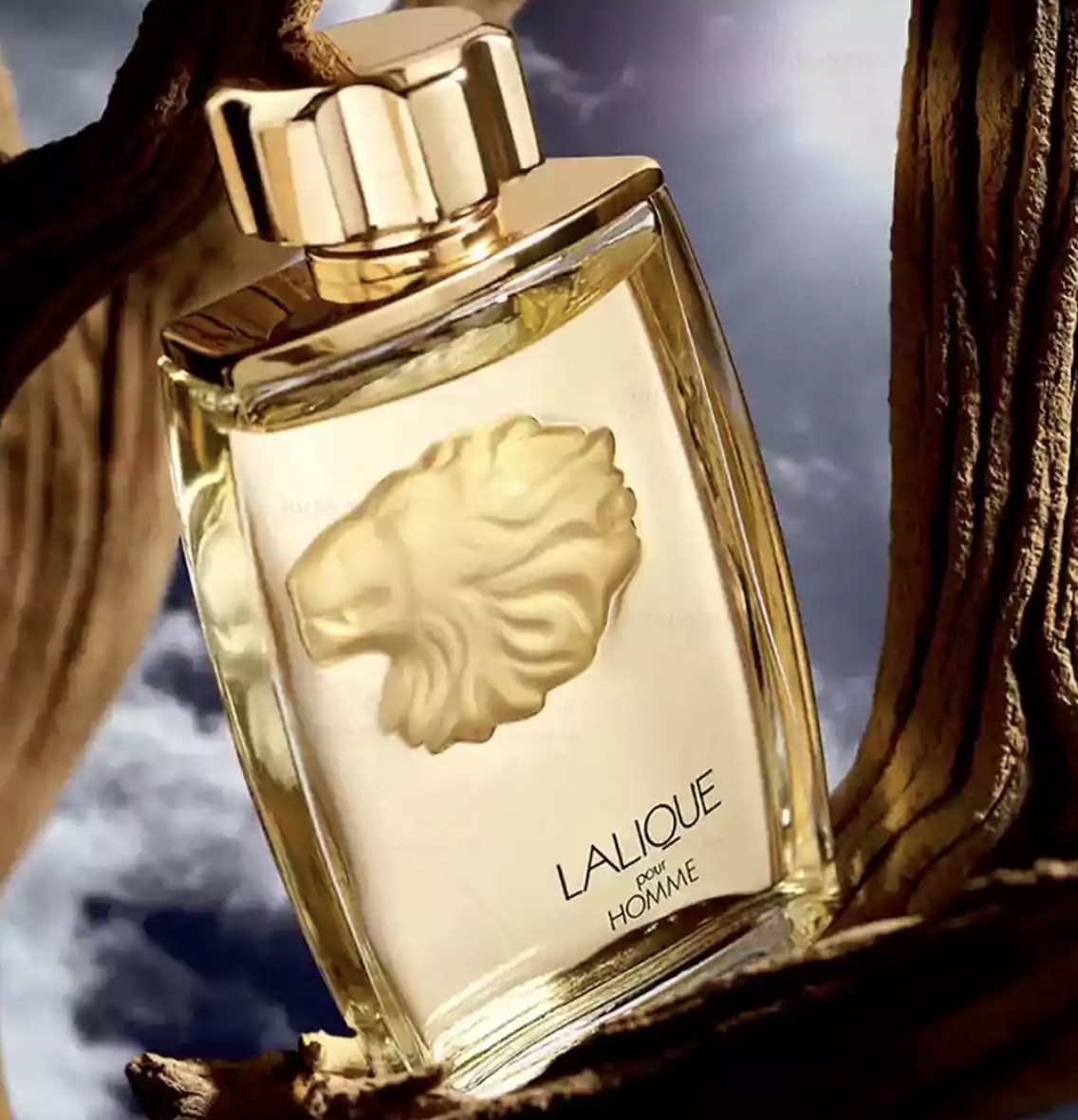 ادکلن لالیک پور هوم 125 میل |لالیک شیر | Lalique pour homme lion