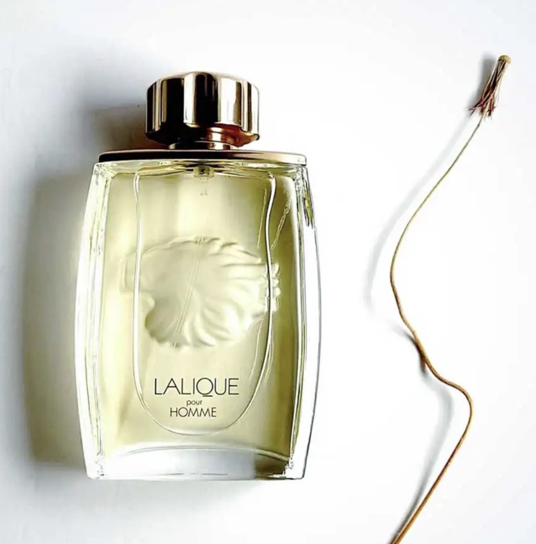 ادکلن لالیک پور هوم 125 میل |لالیک شیر | Lalique pour homme lion