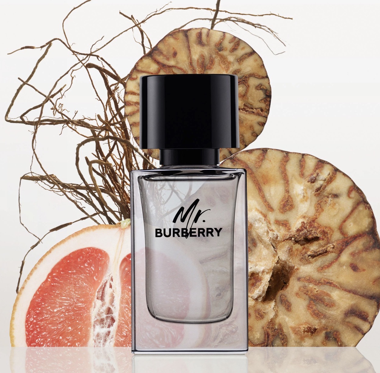 عطر ادکلن باربری مستر باربری | Burberry Mr. Burberry