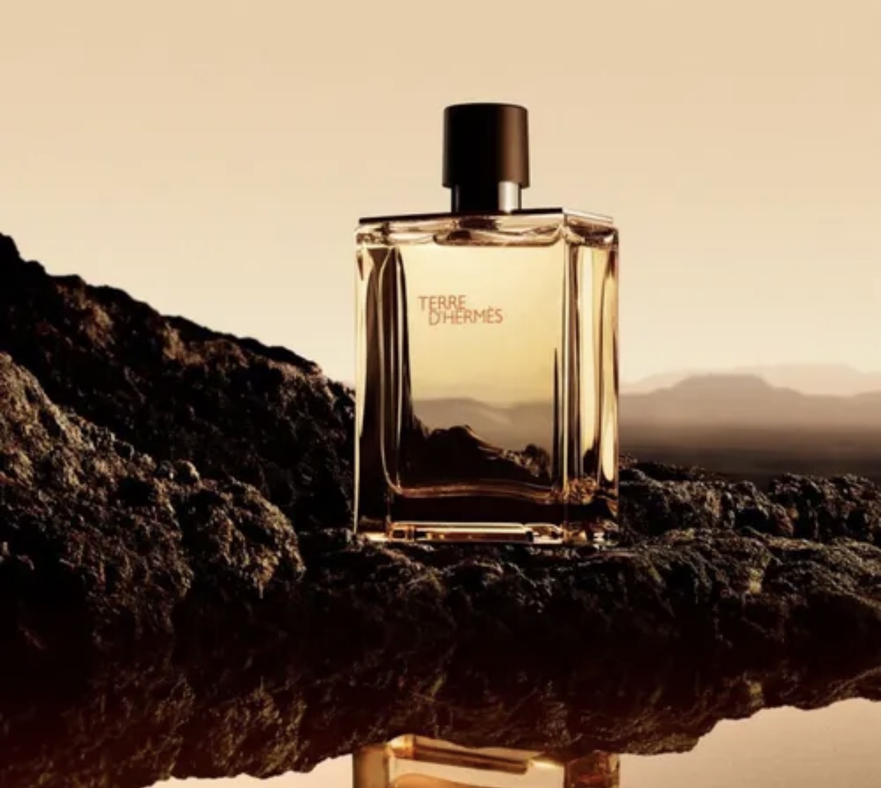 عطر ادکلن هرمس تق هرمس | Hermes Terre d’Hermes 100 ml