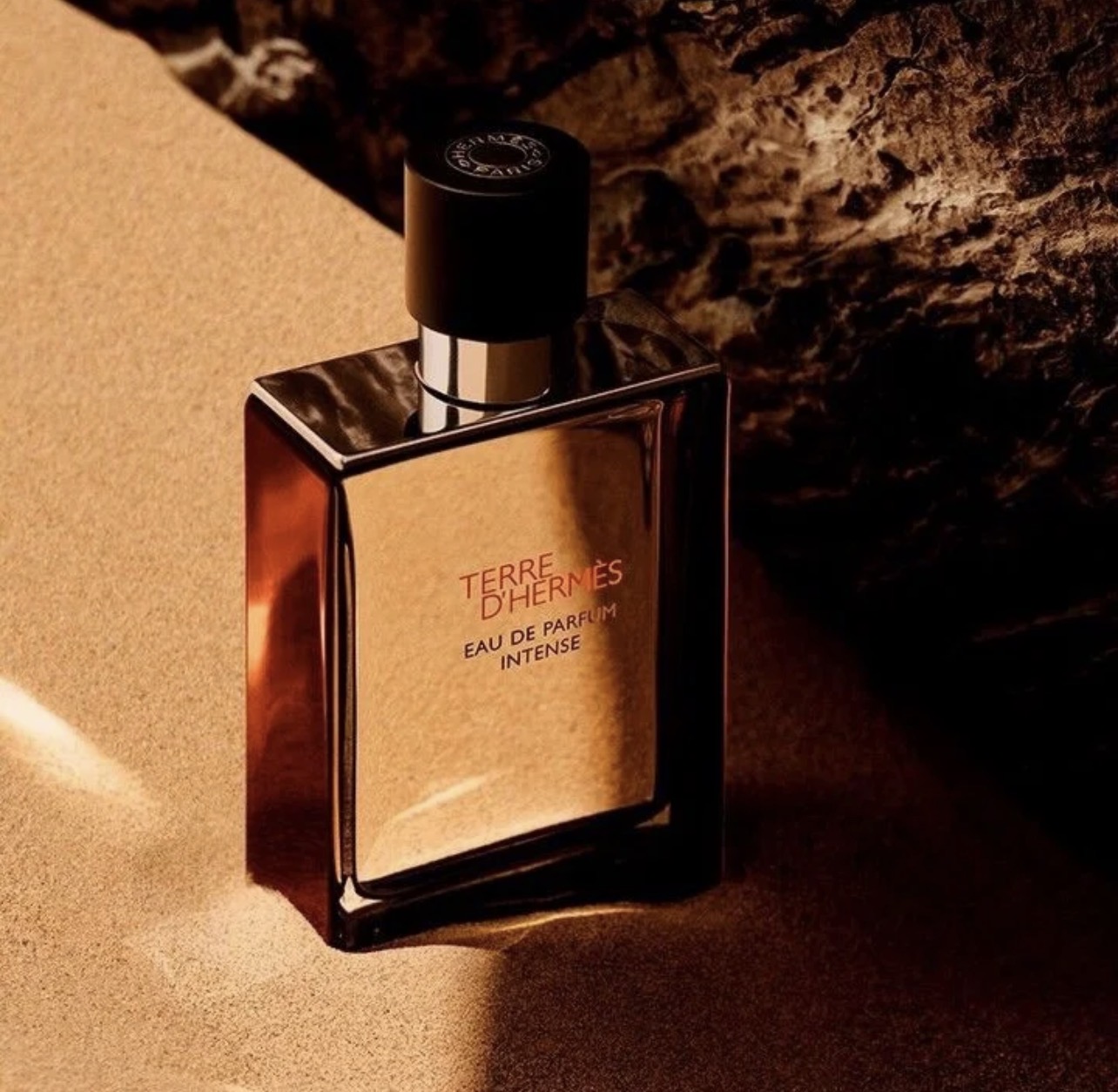 عطر ادکلن هرمس تق هرمس | Hermes Terre d’Hermes 100 ml