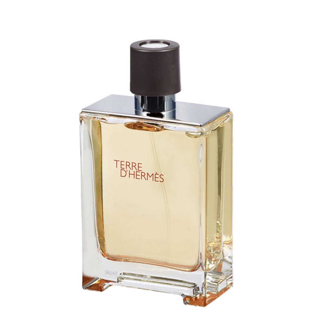 عطر ادکلن هرمس تق هرمس | Hermes Terre d’Hermes 100 ml